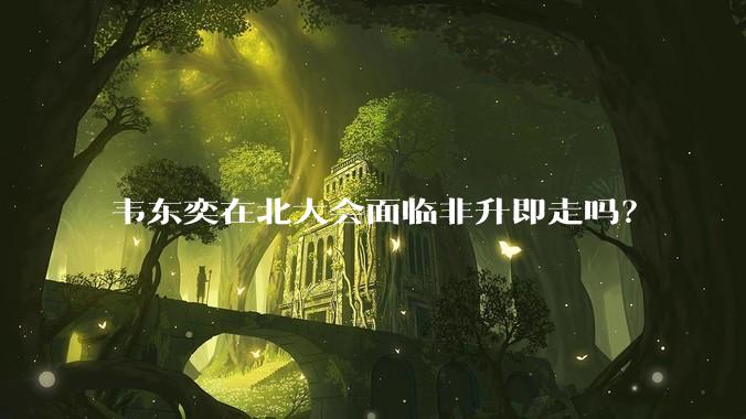 韦东奕在北大会面临非升即走吗？