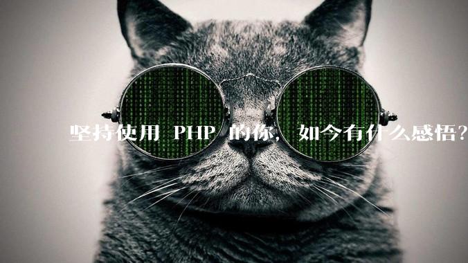 坚持使用 PHP 的你，如今有什么感悟？